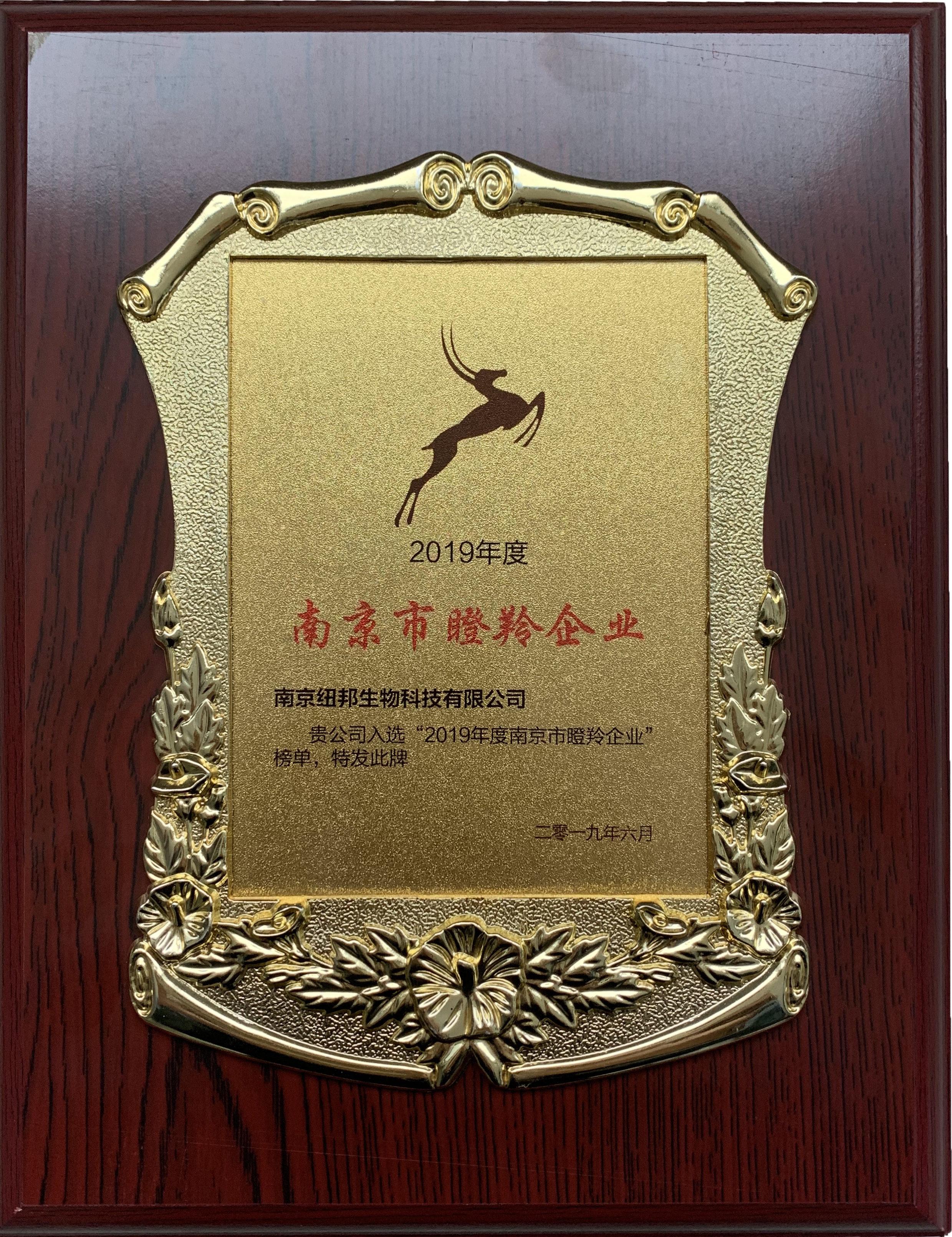 南(nán)京市瞪羚企業 